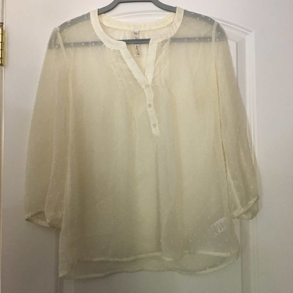 Sheer Blouse